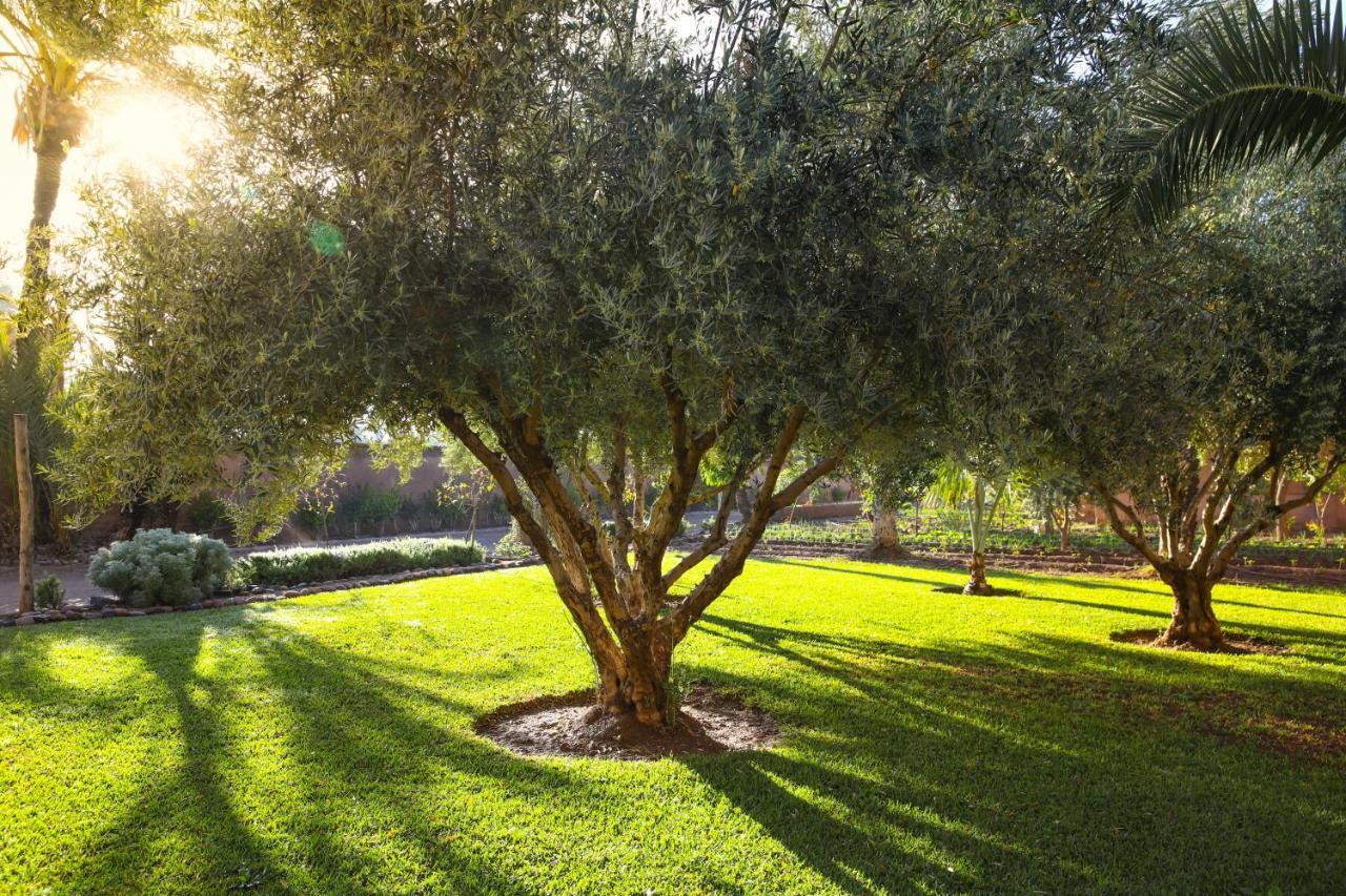 Villa 55 Marrakech Μαρακές Εξωτερικό φωτογραφία