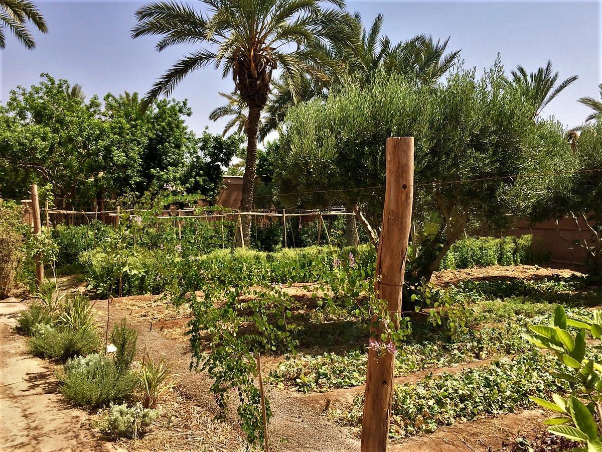 Villa 55 Marrakech Μαρακές Εξωτερικό φωτογραφία